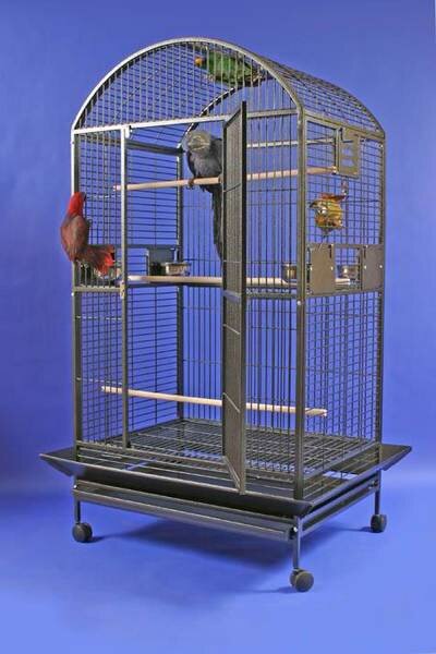 giant parrot cage