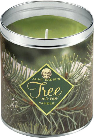 Aunt Pine Boughs Famous Pine Scented Jar Candle Reviews Wayfair