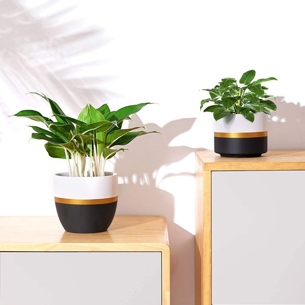 Everly Quinn Synn 2-Piece Ceramic Pot Planter Set | Wayfair