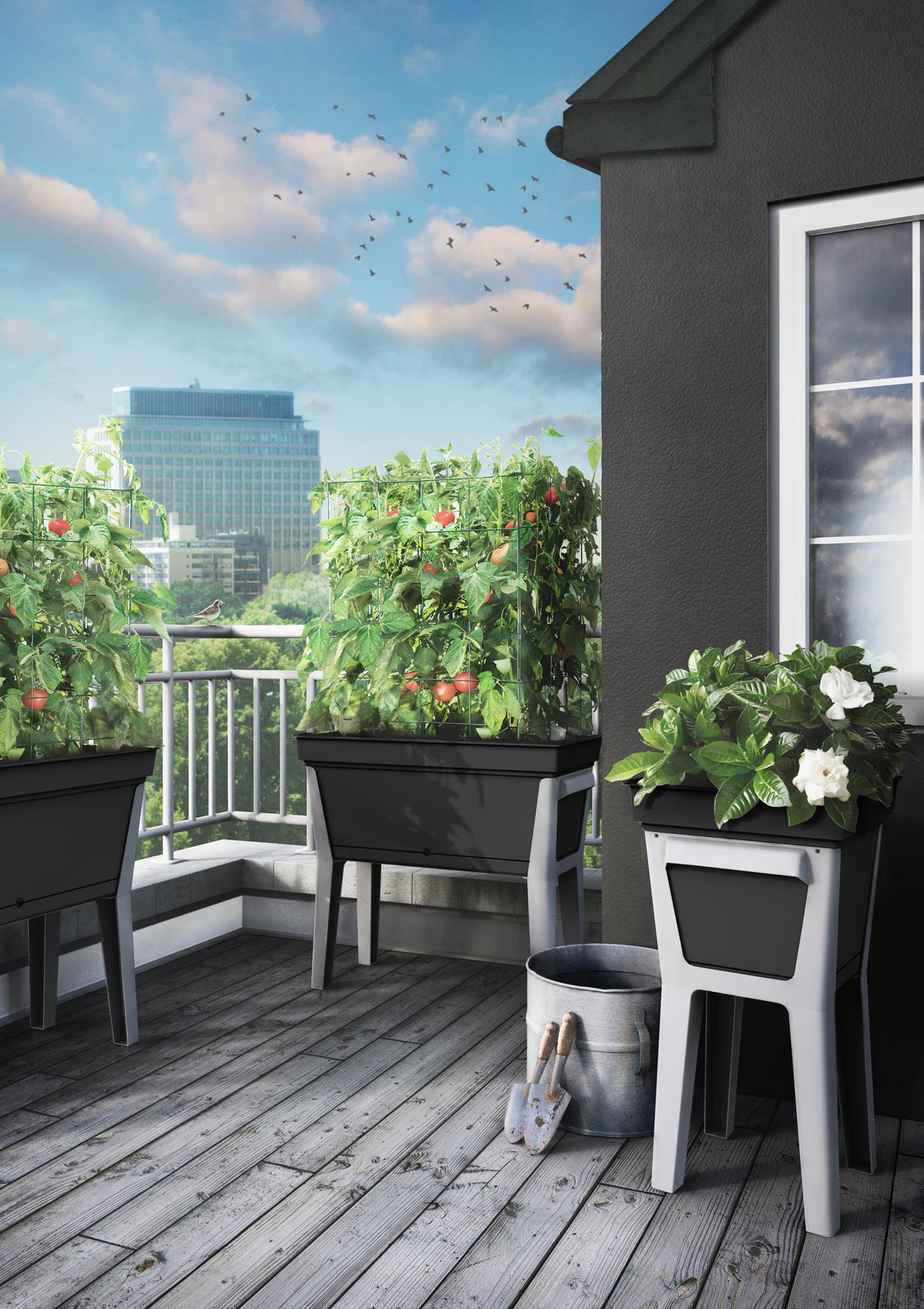 wayfair balcony planters on Arlmont Co Macy Self Watering Plastic Elevated Planter Wayfair