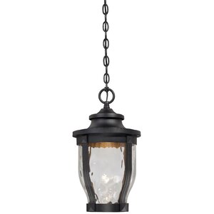 Bedford 1-Light Outdoor Hanging Lantern