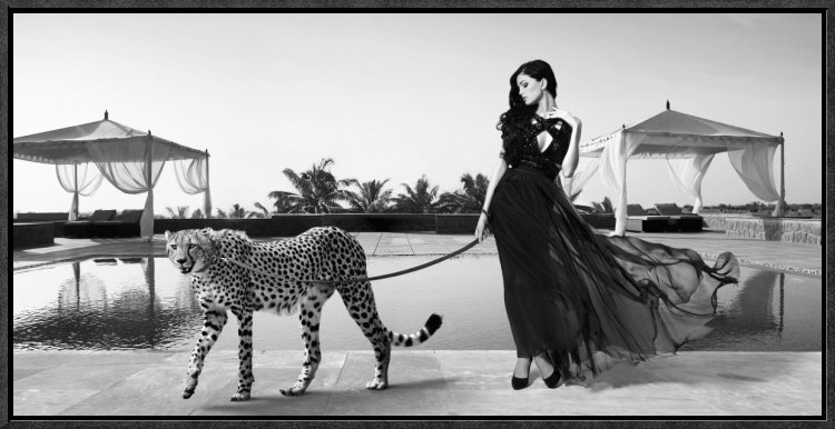 Global Gallery Woman With Cheetah By Lauren Framed Photographic Print Wayfair