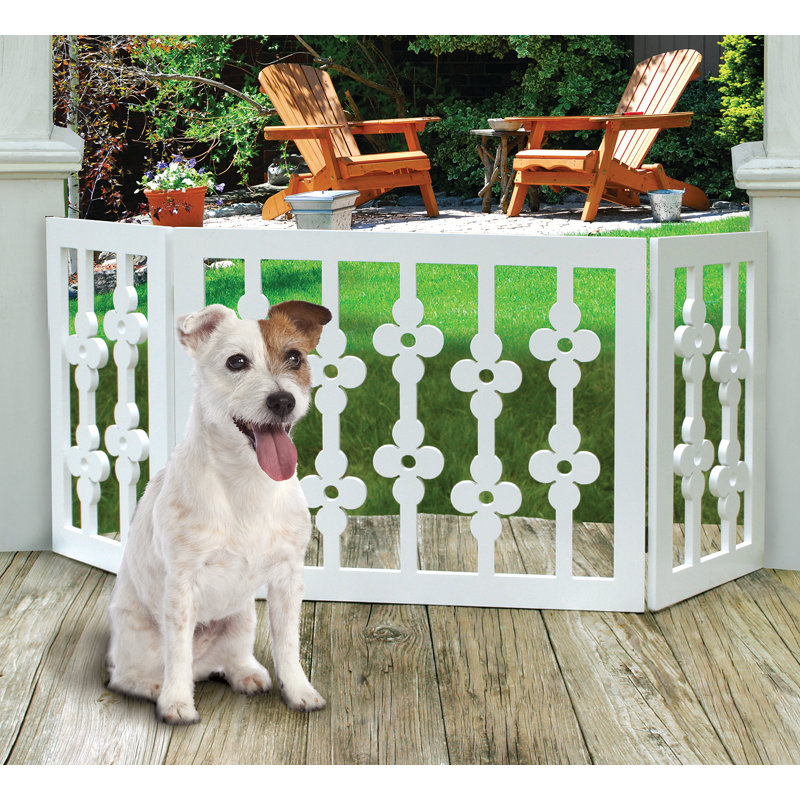 wayfair dog gates