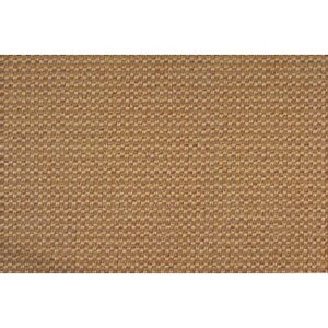 Tan Area Rug