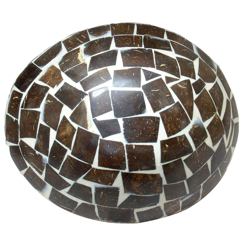 Coconut Husk with a Gold and Silver Lining