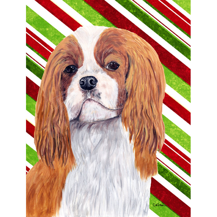 kevlar king charles spaniel