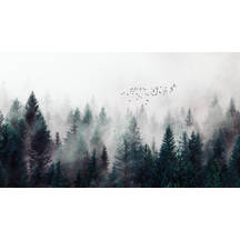 3D Sunbeams Fog Forest Self-adhesive Removable Wallpaper Feature Wall Mural 3D Sunbeams Fog Forest Self-adhesive Removable Wallpaper Feature Wall Mural
