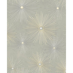 Wayfair Wallpaper You Ll Love In 22