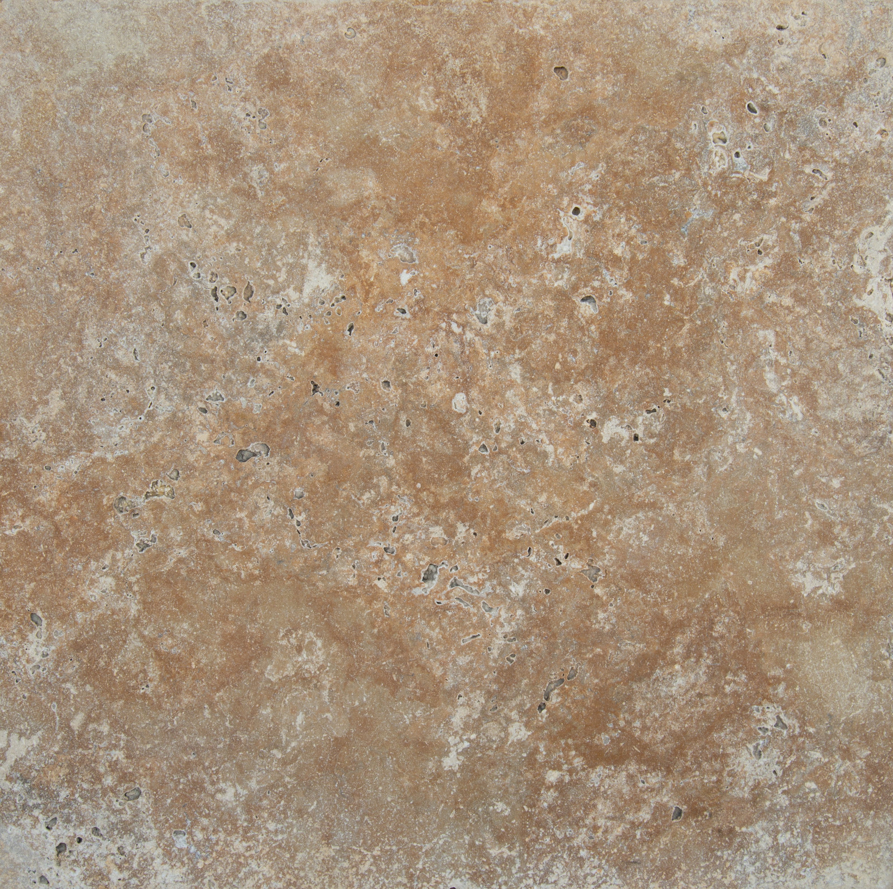 Msi Riviera Travertine Tumbled Paver Wayfair