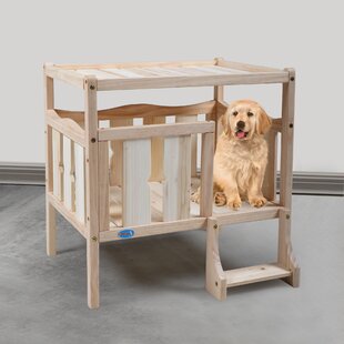 pet squeak arf frame dog house