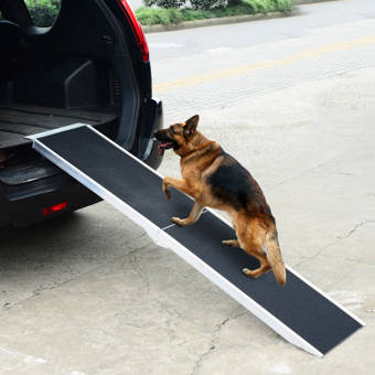 Tucker Murphy Pet Shaner Portable Bi Fold Folding 96 Pet Ramp Wayfair