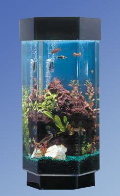 15 gallon fish tank kit