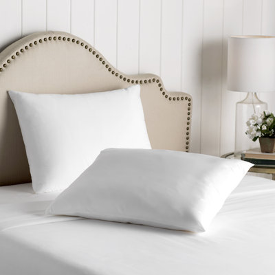 Wayfair Basics Waterproof Allergy And Bed Bug Pillow Protector