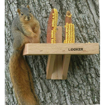 Stovall Classic Single Cob Squirrel Feeder Wayfair