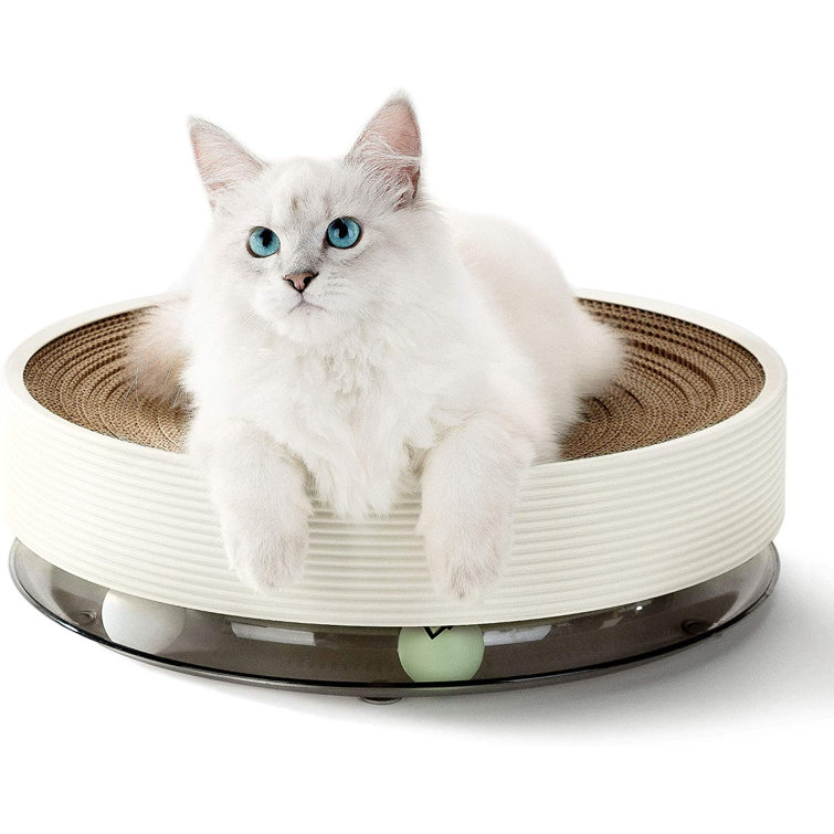 cat scratching under bed