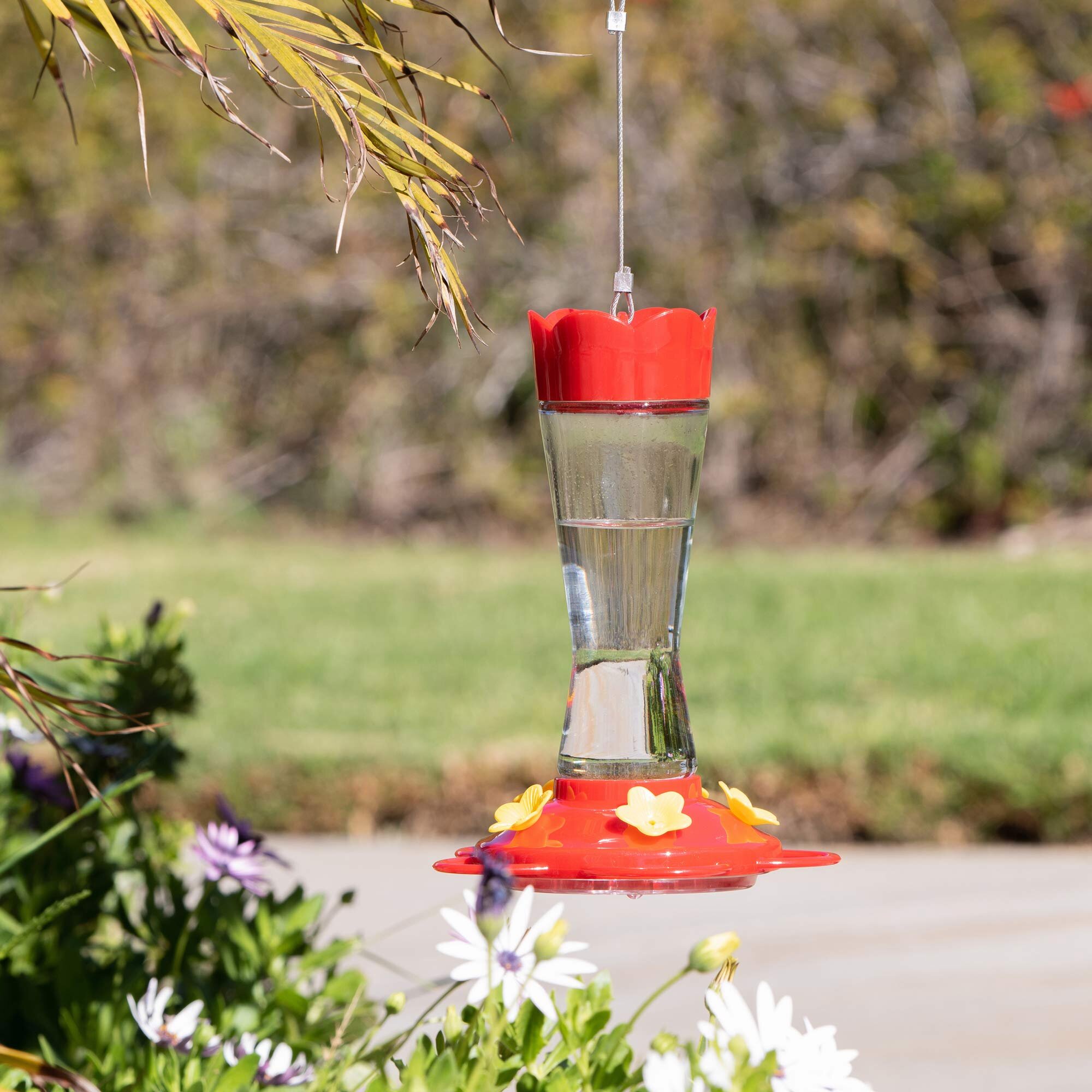 Hummingbird Feeder Nectar  Outdoor Yard Window Bird Plastic Red Clear Hanger Red
