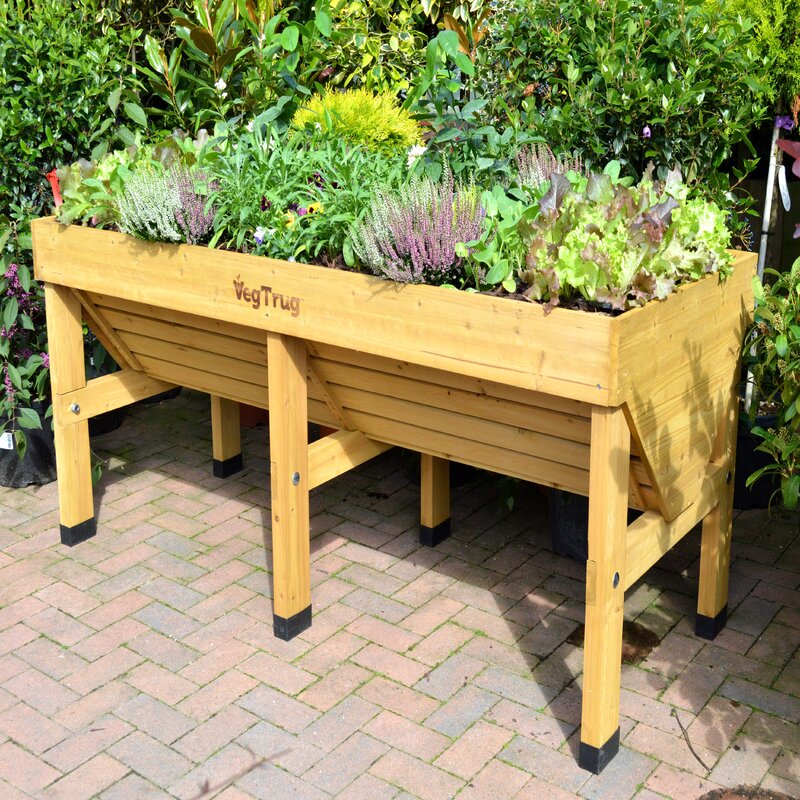 VegTrug Wood Elevated Planter & Reviews | Wayfair