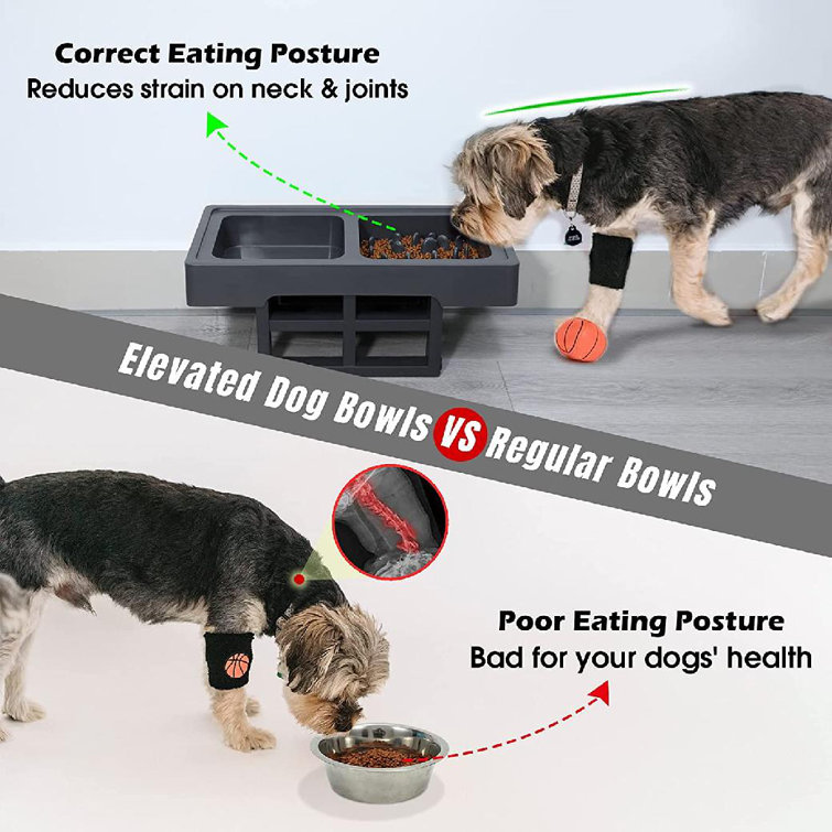 adjustable elevated dog feeder