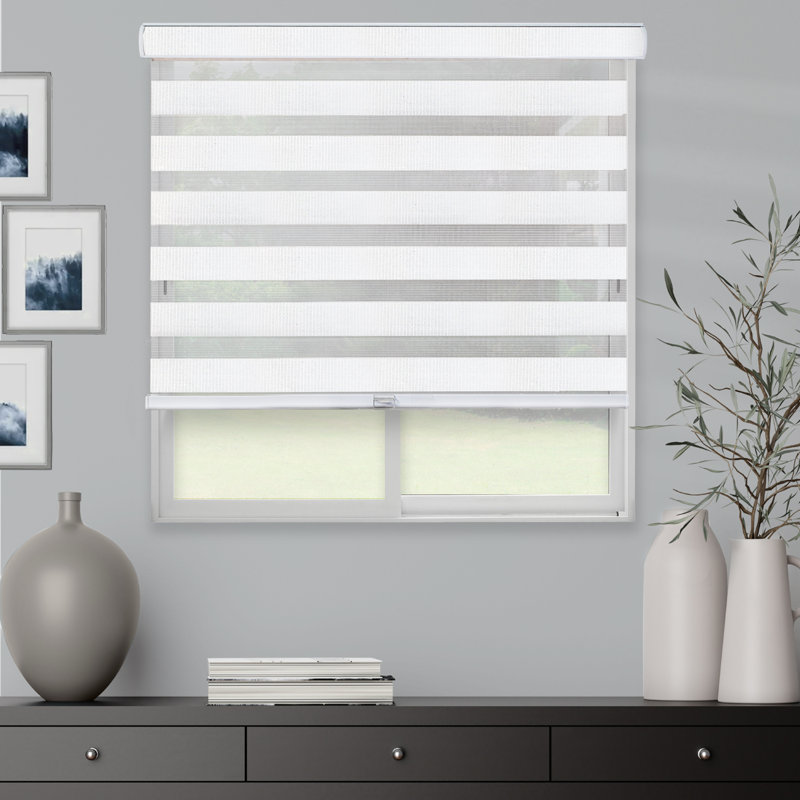 Latitude Run® Premium Room Darkening Roller Shade & Reviews | Wayfair