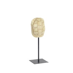 Malouf Turtle Shell Sculpture
