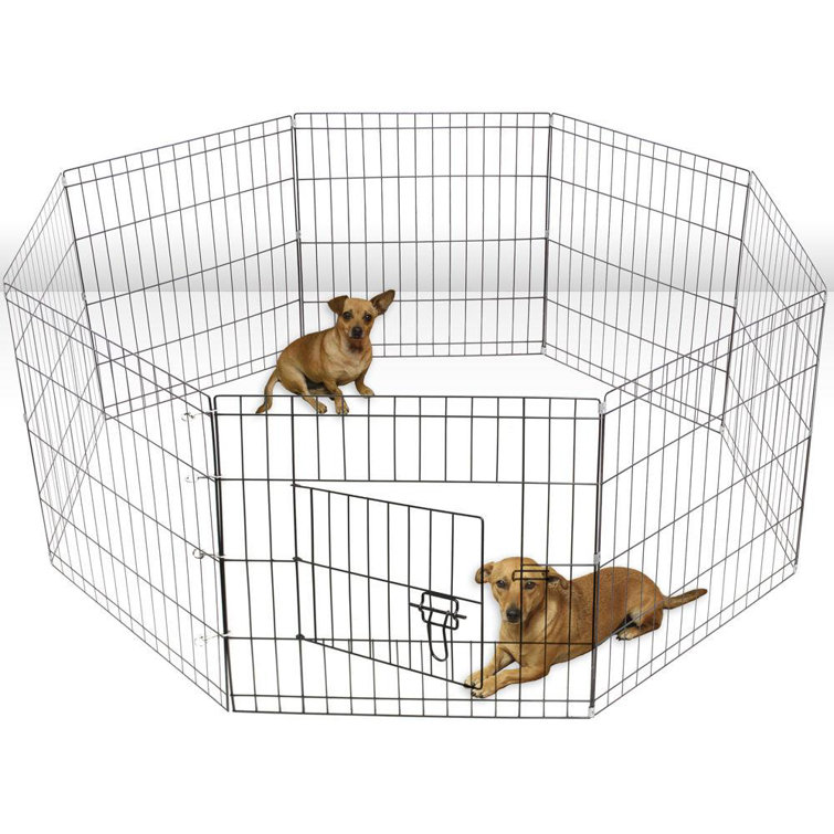 dog play fence