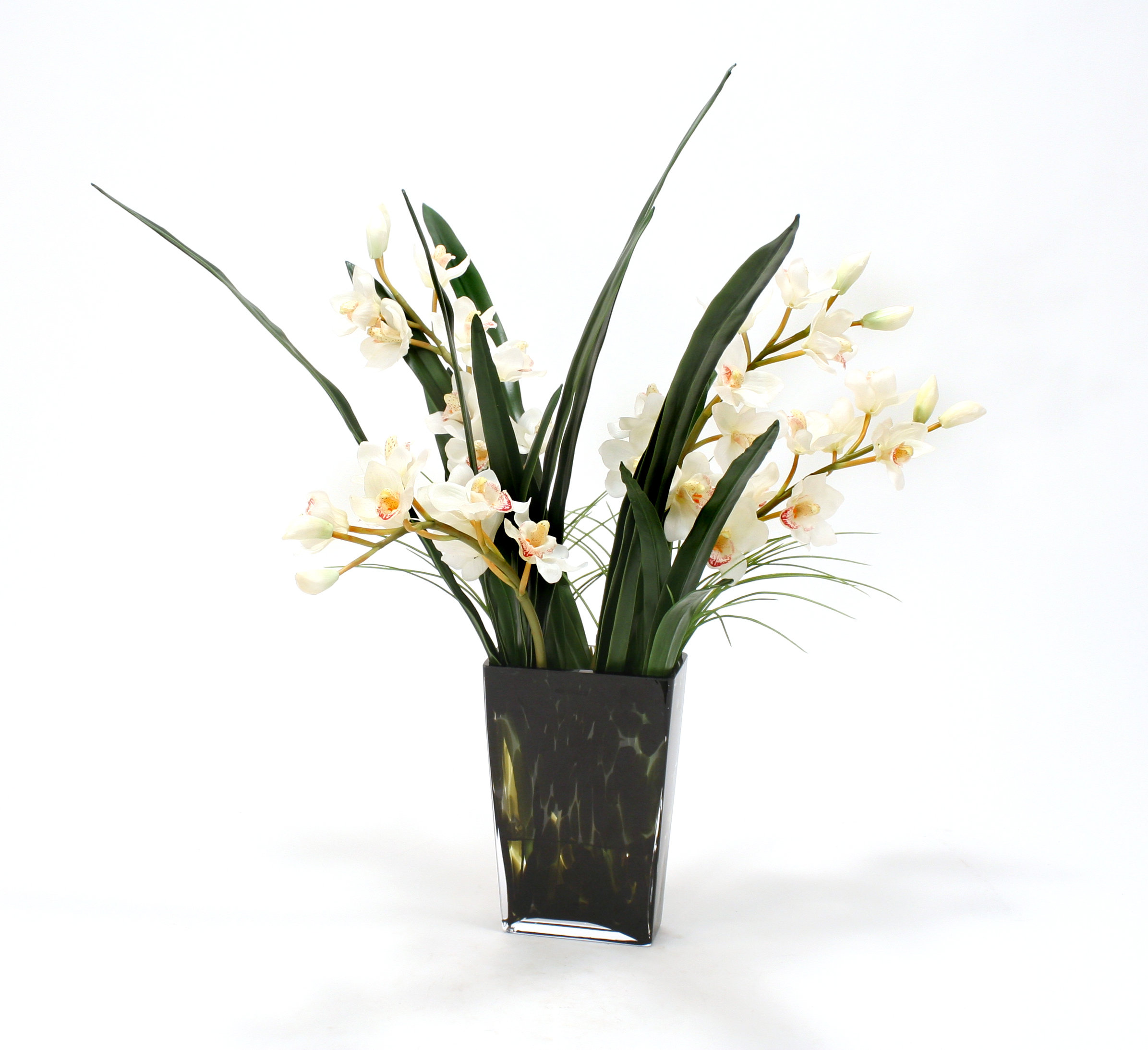 Primrue Waterlook Orchids In Spotted Leopard Glass Vase Wayfair