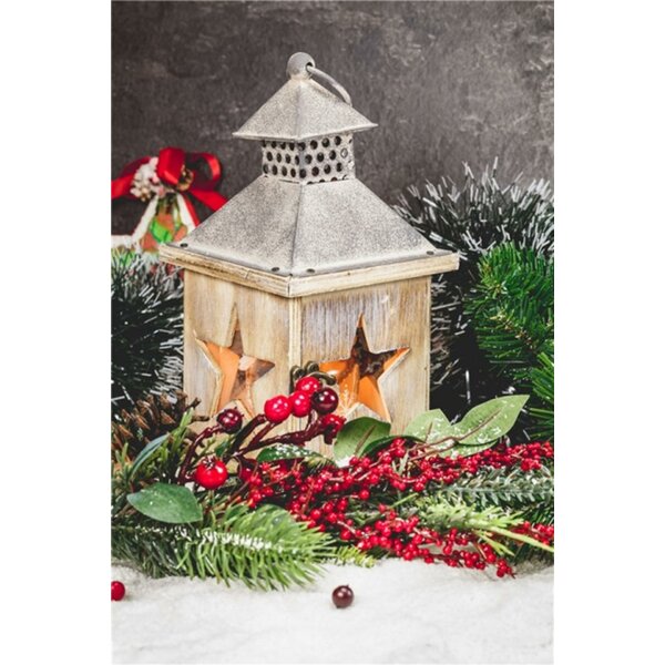 Radiance Lighted Canvas Lighted Star 39003 NEW 