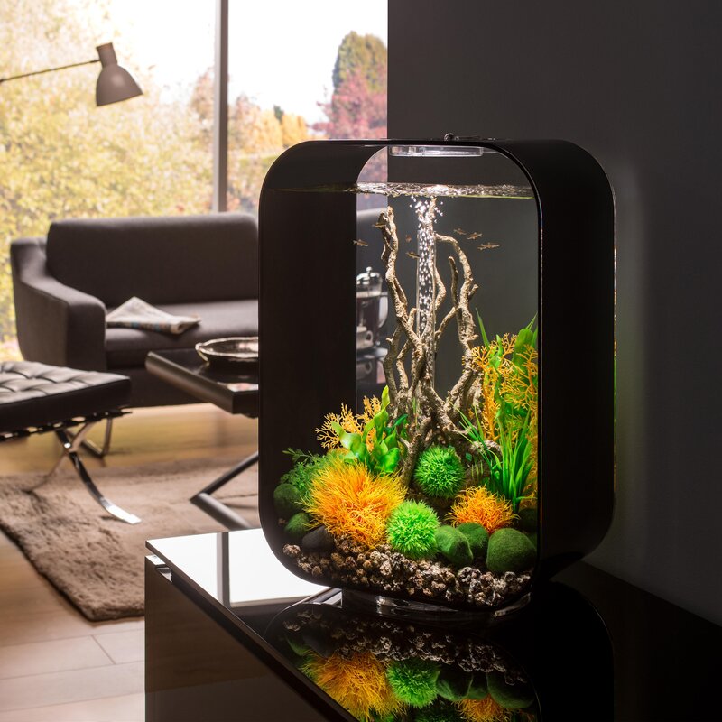 Featured image of post Fish Tank Under Table / Just wash off the gunk with your hands and then replace the sponge or.