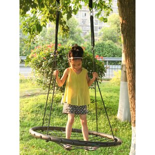 Flying Saucer Tree Swing Wayfair