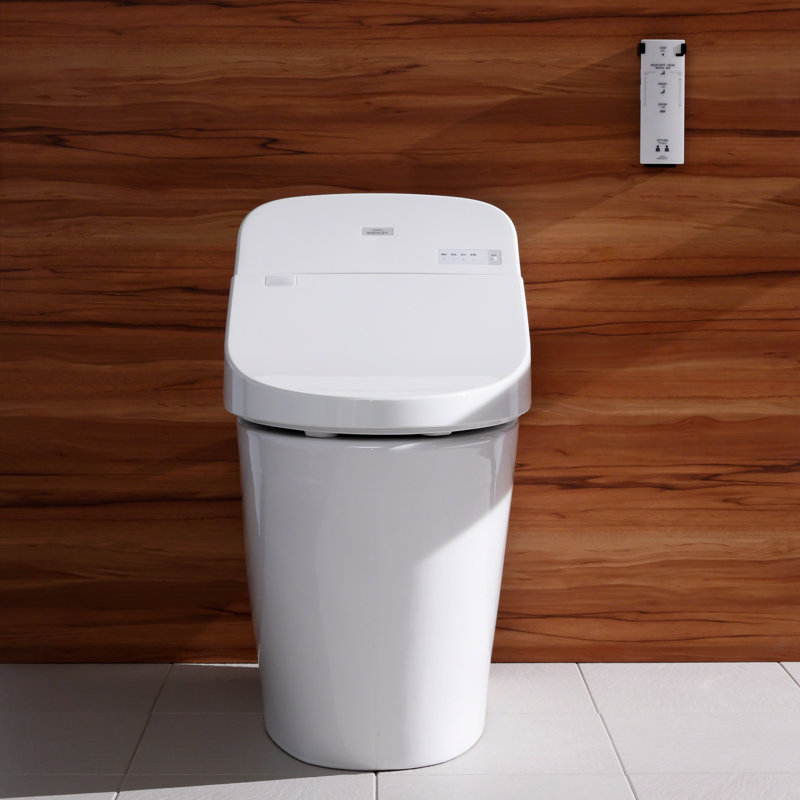 Toto Dual-Flush Elongated Bidet Toilet with High ...