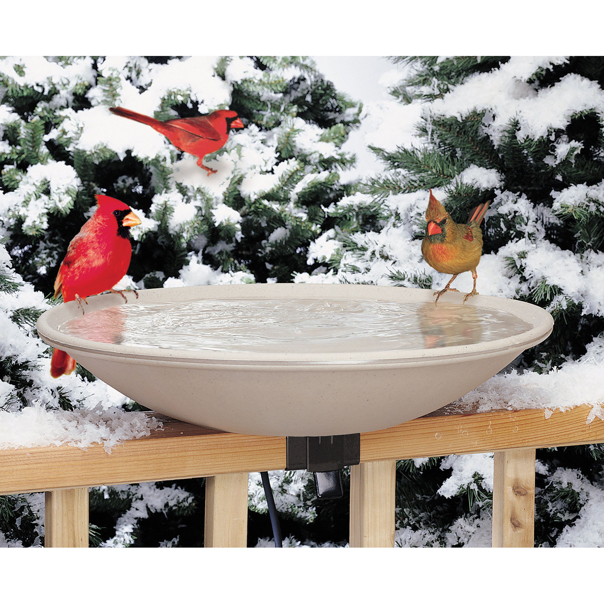 Allied Precision Four Seasons Heated Bird Bath W Ez Tilt Deck