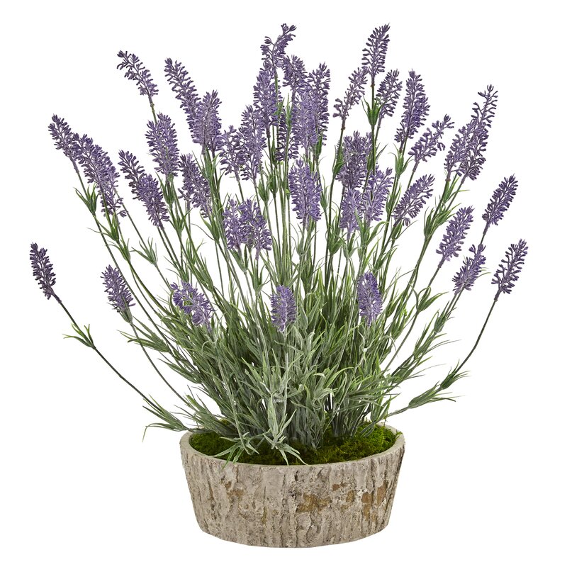 Ophelia & Co. Artificial Lavender Plant in Planter & Reviews | Wayfair.ca