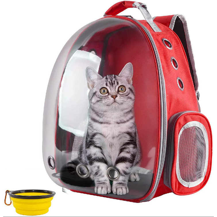 cat backpack transparent