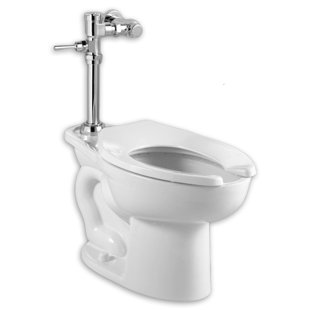 Toto Flush Valve Wayfair Madera Elongated System Manual Flush Valve Dual One Piece Toilet Seat Included