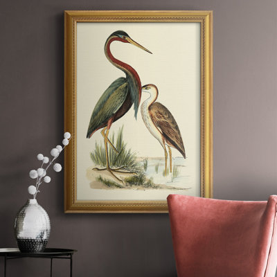 Water Birds III Water Birds III - Picture Frame Painting on Canvas
