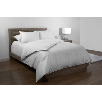 Lauren Ralph Lauren All Season Down Comforter Reviews Wayfair