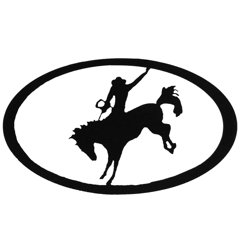 Cowgirl Decor Wayfair Ca