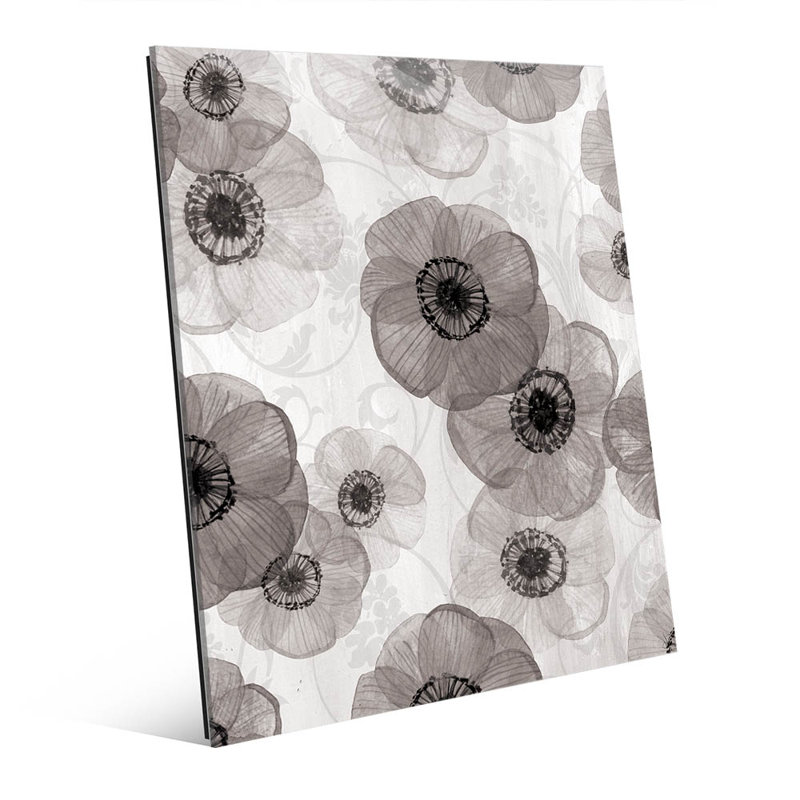 Click Wall Art Pressed Flowers Black And White Graphic Art On Glass Wayfair