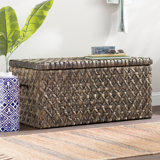 Chaya Hyacinth Storage Trunk by Bay Isle Home