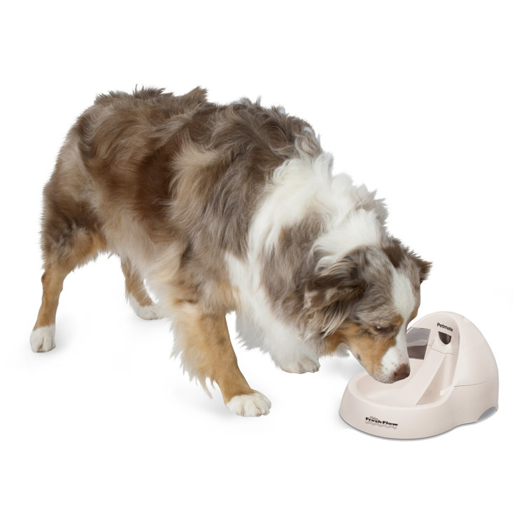petmate dog feeder