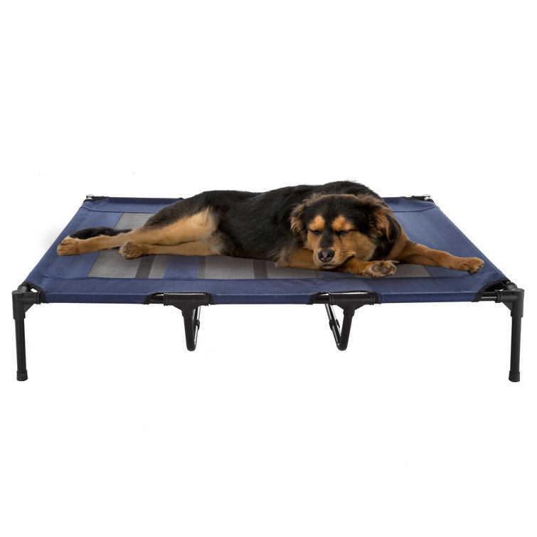 coolaroo dog bed extra large