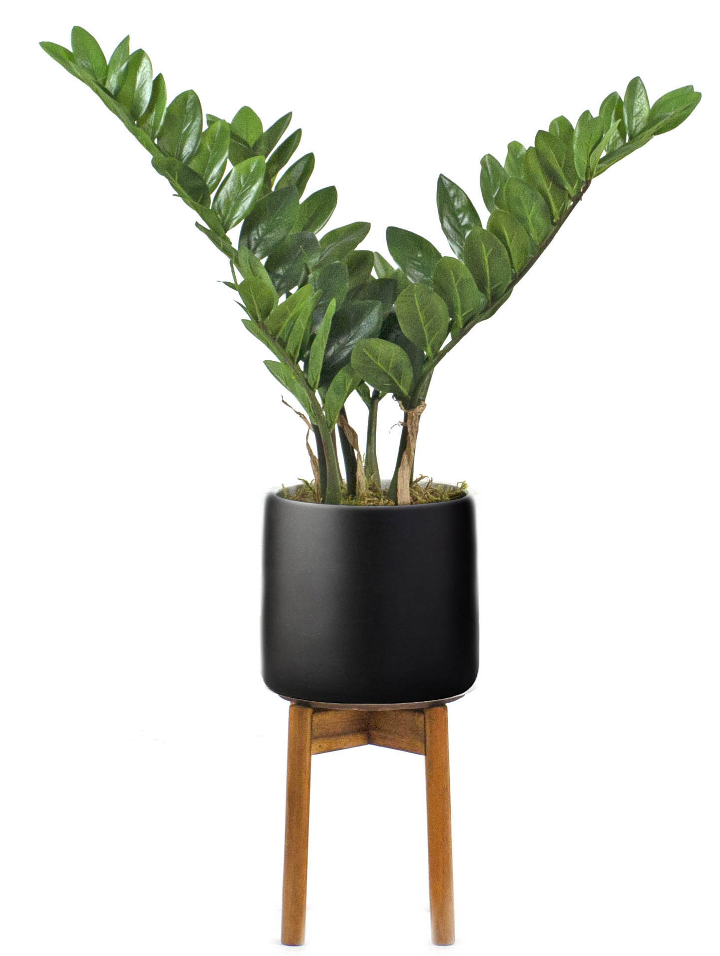 artificial foliage wall panels on Corrigan Studio 22 5 Artificial Foliage Plant In Pot Wayfair