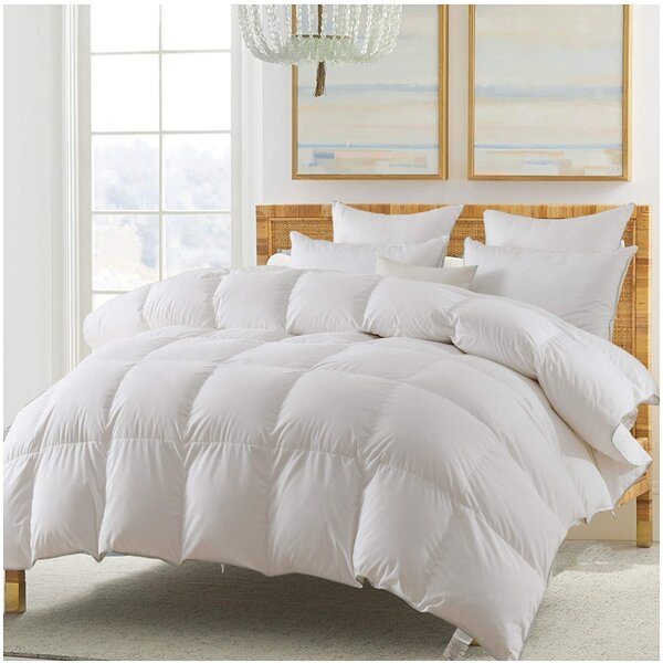 Light Grey Down Comforter Wayfair