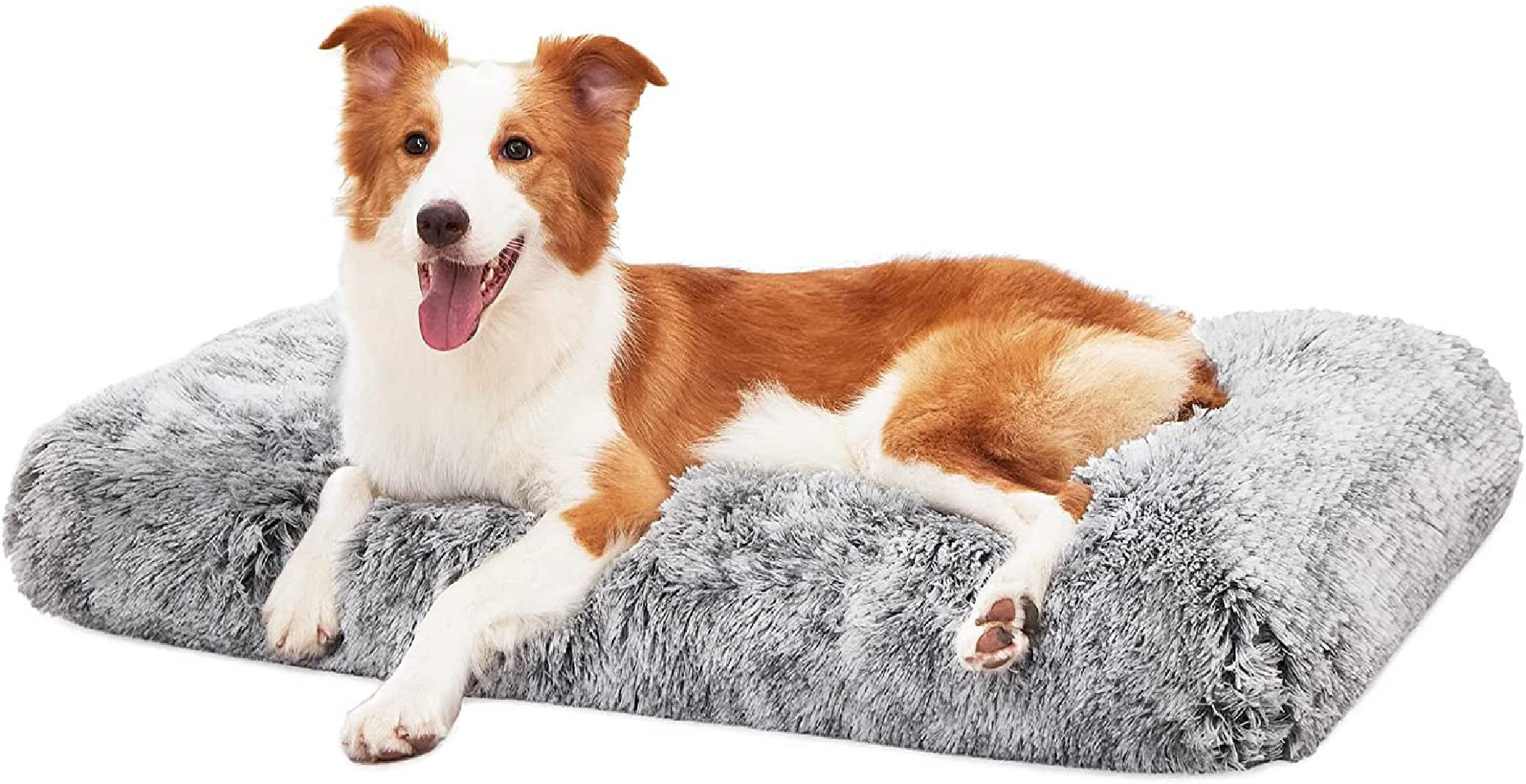 silentnight orthopedic dog bed