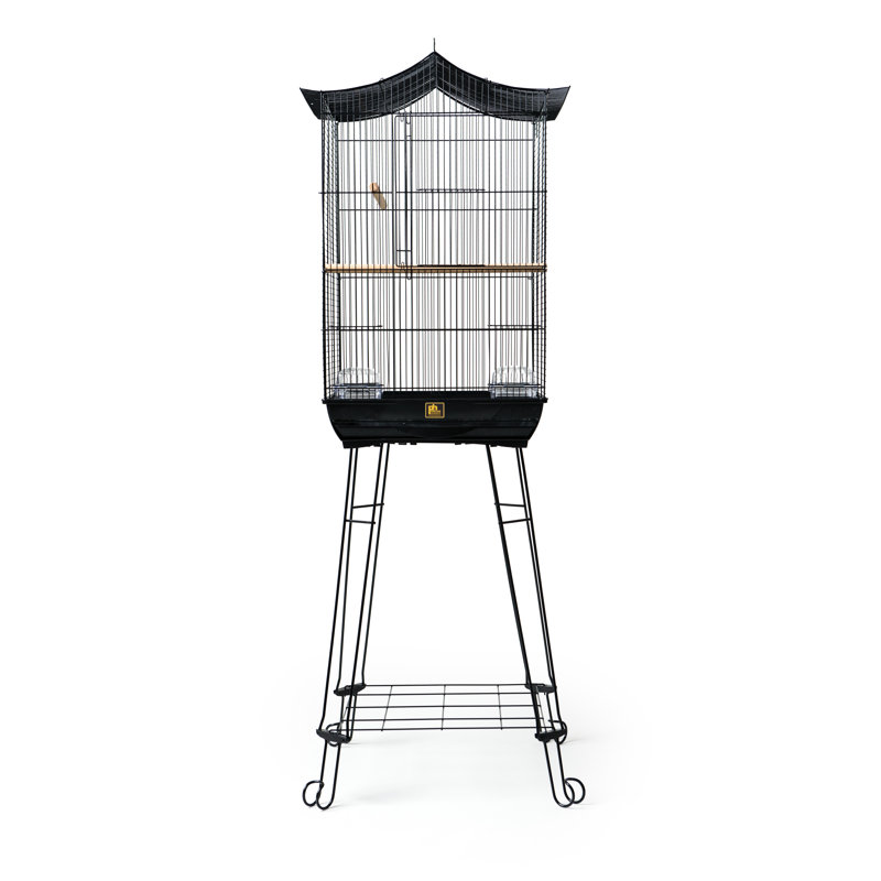 small parrot cage with stand