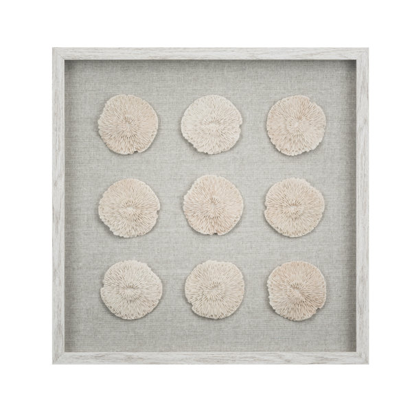 9 Piece Sea Urchin Wall Decor Joss Main
