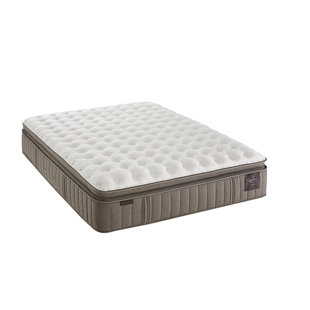 Twin 33 Inch Mattress Wayfair Estate Candidate Iv Cushion 14 5 Inch Firm Pillowtop Mattress