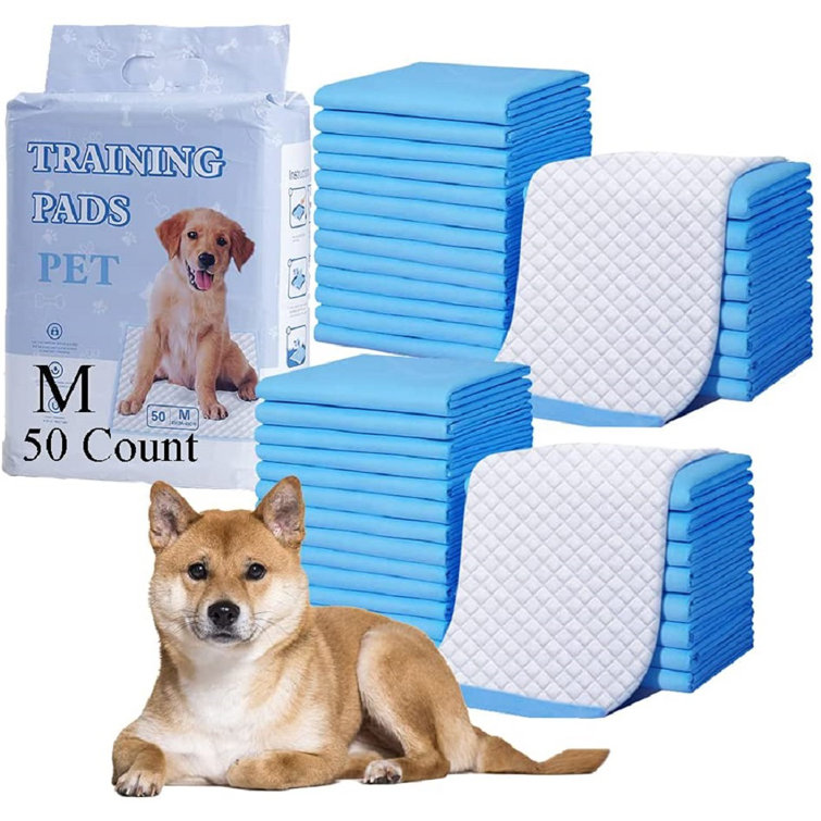 cheap dog training pads