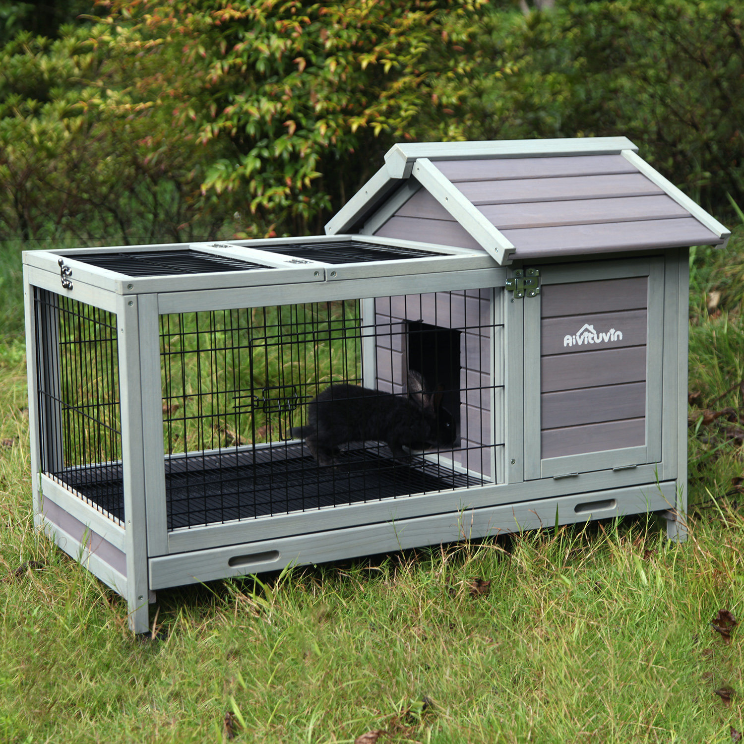 rabbit hutch with removable tray