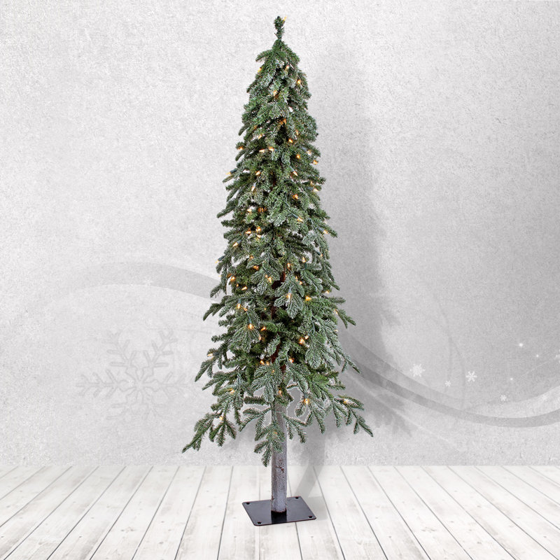 The Holiday Aisle Lit Frost Alpine Frosted Green Spruce Artificial